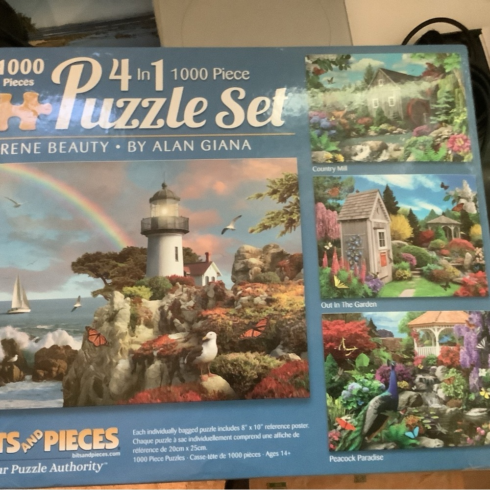 4-in-1 Puzzle Set - Alan Giana Scenic Beauty -Vibrant Multicolor